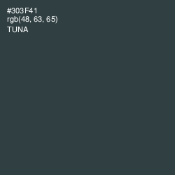 #303F41 - Tuna Color Image