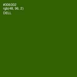 #306002 - Dell Color Image