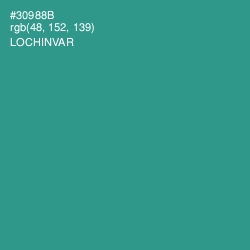 #30988B - Lochinvar Color Image