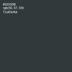 #32393B - Tuatara Color Image