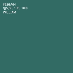 #326A64 - William Color Image
