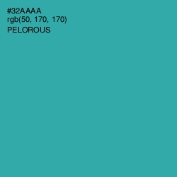 #32AAAA - Pelorous Color Image
