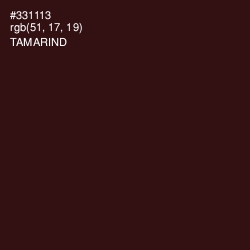 #331113 - Tamarind Color Image