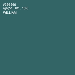 #336566 - William Color Image