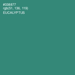 #338877 - Eucalyptus Color Image