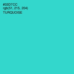 #33D7CC - Turquoise Color Image