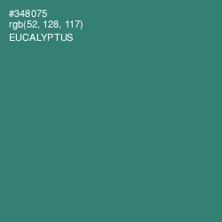 #348075 - Eucalyptus Color Image