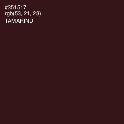 #351517 - Tamarind Color Image