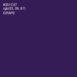 #351C57 - Grape Color Image