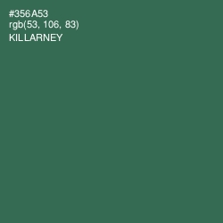 #356A53 - Killarney Color Image