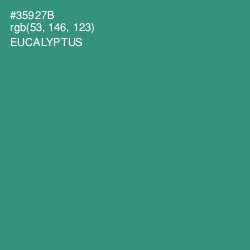 #35927B - Eucalyptus Color Image