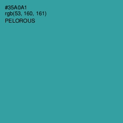 #35A0A1 - Pelorous Color Image