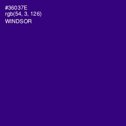 #36037E - Windsor Color Image
