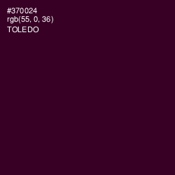 #370024 - Toledo Color Image