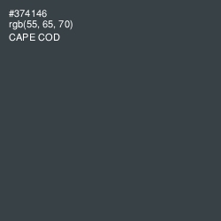 #374146 - Cape Cod Color Image