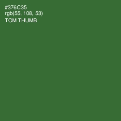#376C35 - Tom Thumb Color Image