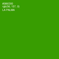 #389D00 - La Palma Color Image