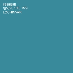 #398B9B - Lochinvar Color Image