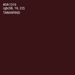 #3A1316 - Tamarind Color Image