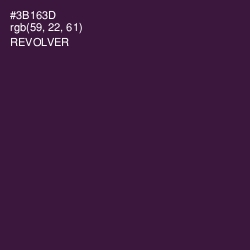 #3B163D - Revolver Color Image