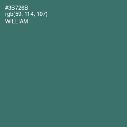 #3B726B - William Color Image