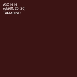 #3C1414 - Tamarind Color Image