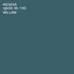 #3C606A - William Color Image