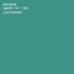 #3C9386 - Lochinvar Color Image