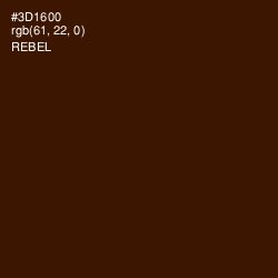 #3D1600 - Rebel Color Image
