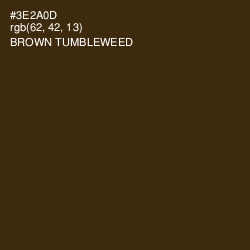 #3E2A0D - Brown Tumbleweed Color Image