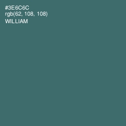 #3E6C6C - William Color Image