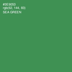 #3E9053 - Sea Green Color Image