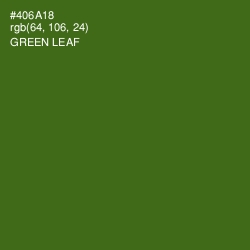 #406A18 - Green Leaf Color Image