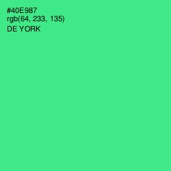 #40E987 - De York Color Image
