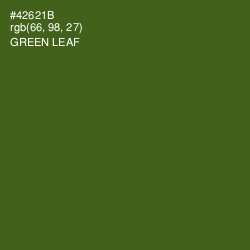 #42621B - Green Leaf Color Image