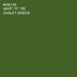#436126 - Chalet Green Color Image