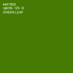 #457B03 - Green Leaf Color Image