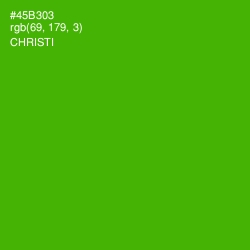 #45B303 - Christi Color Image