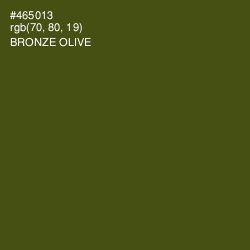 #465013 - Bronze Olive Color Image
