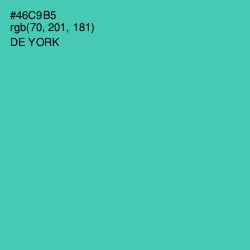 #46C9B5 - De York Color Image