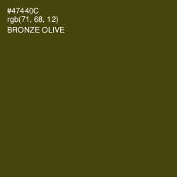#47440C - Bronze Olive Color Image