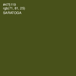 #475119 - Saratoga Color Image