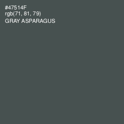 #47514F - Gray Asparagus Color Image