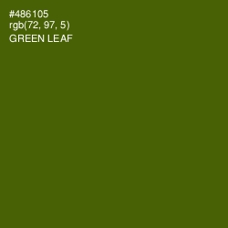 #486105 - Green Leaf Color Image