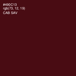 #490C13 - Cab Sav Color Image