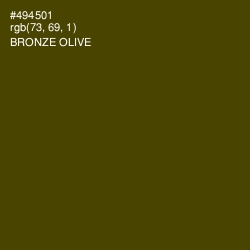 #494501 - Bronze Olive Color Image