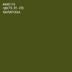 #495119 - Saratoga Color Image
