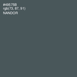 #49575B - Nandor Color Image