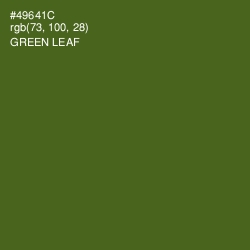 #49641C - Green Leaf Color Image