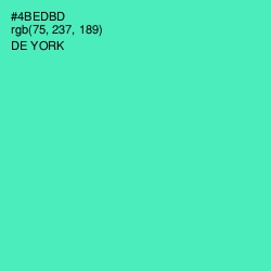 #4BEDBD - De York Color Image